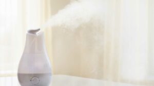 Read more about the article Different Types of Humidifiers