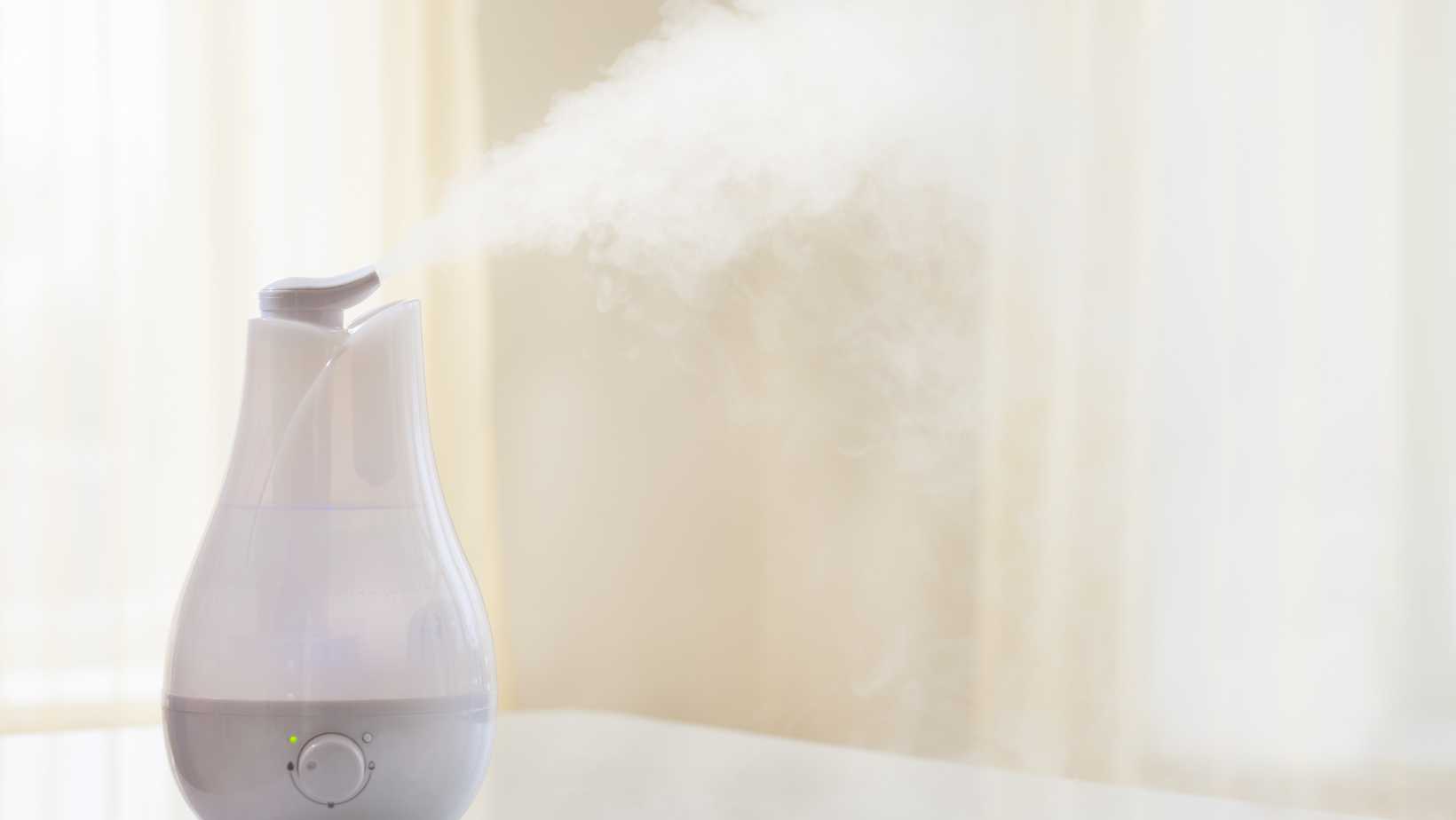 You are currently viewing Different Types of Humidifiers